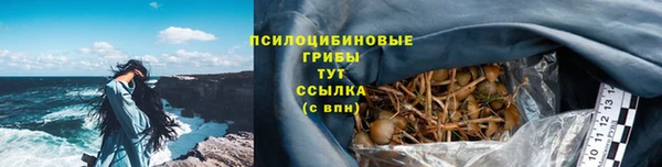 индика Кинешма