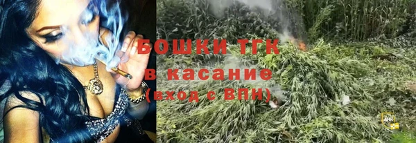 индика Кинешма