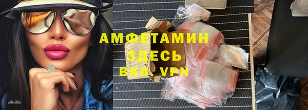 индика Кинешма