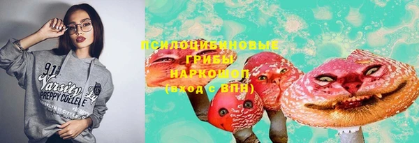 гидра Карталы