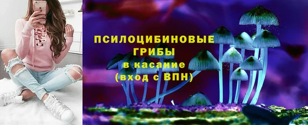крисы Карпинск