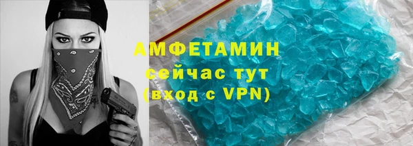 индика Кинешма